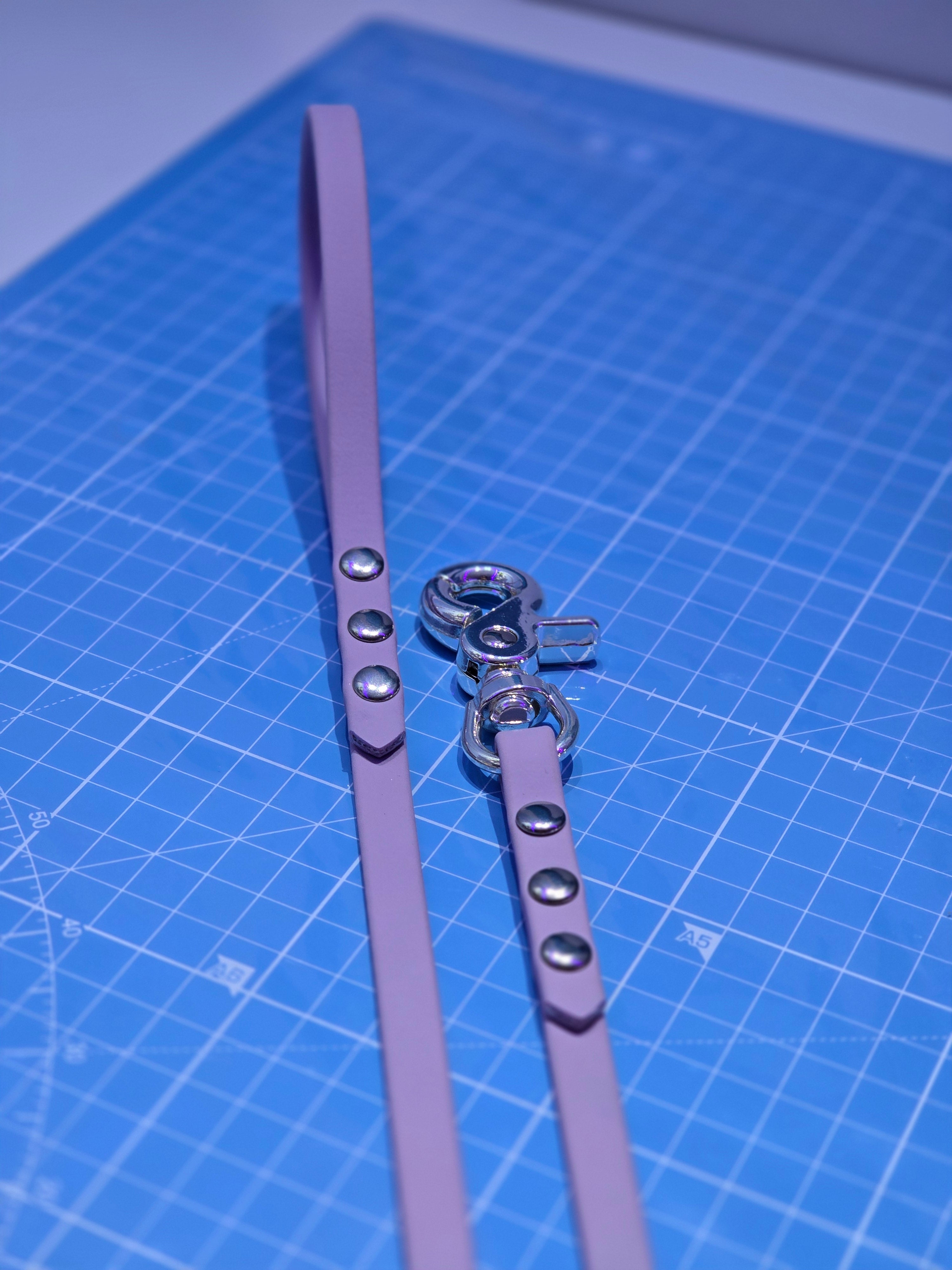 Laisse en BioThane®